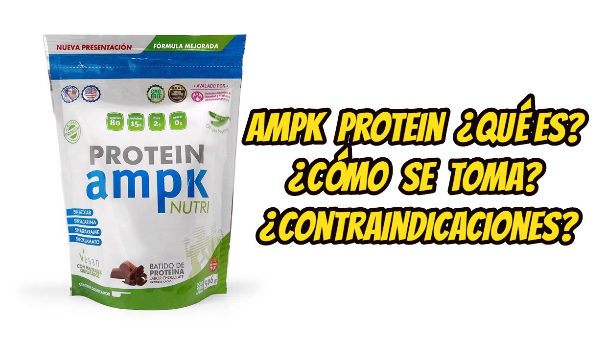AMPK Protein ¿Qué es? ¿Cómo se toma? ¿Contraindicaciones?